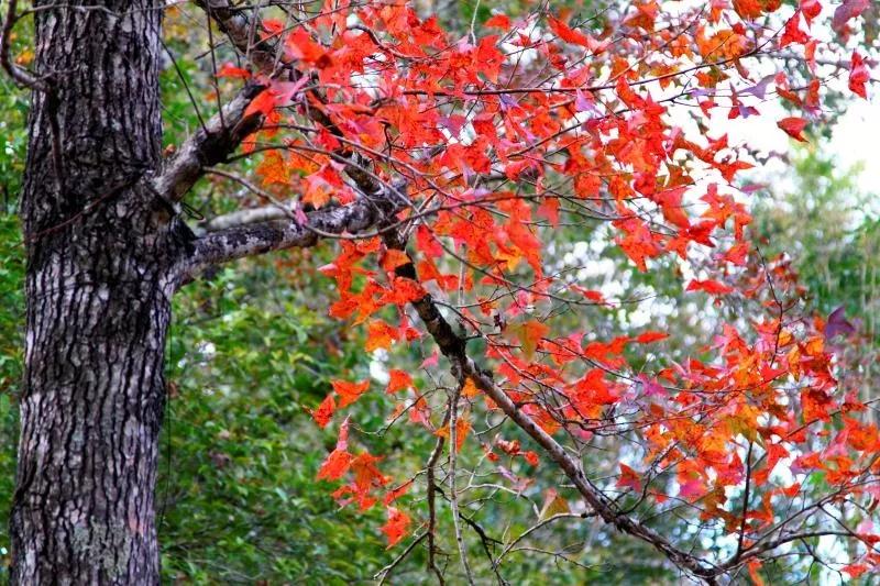 微信圖片_20190527194845 微信圖片_20190527194845