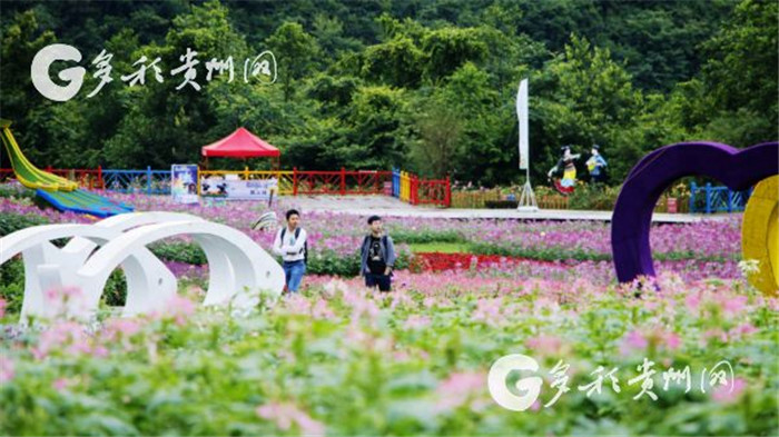 W020190717551176896055 W020190717551176896055