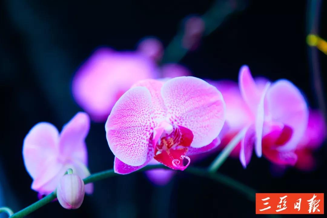 微信圖片_20191205171638 微信圖片_20191205171638