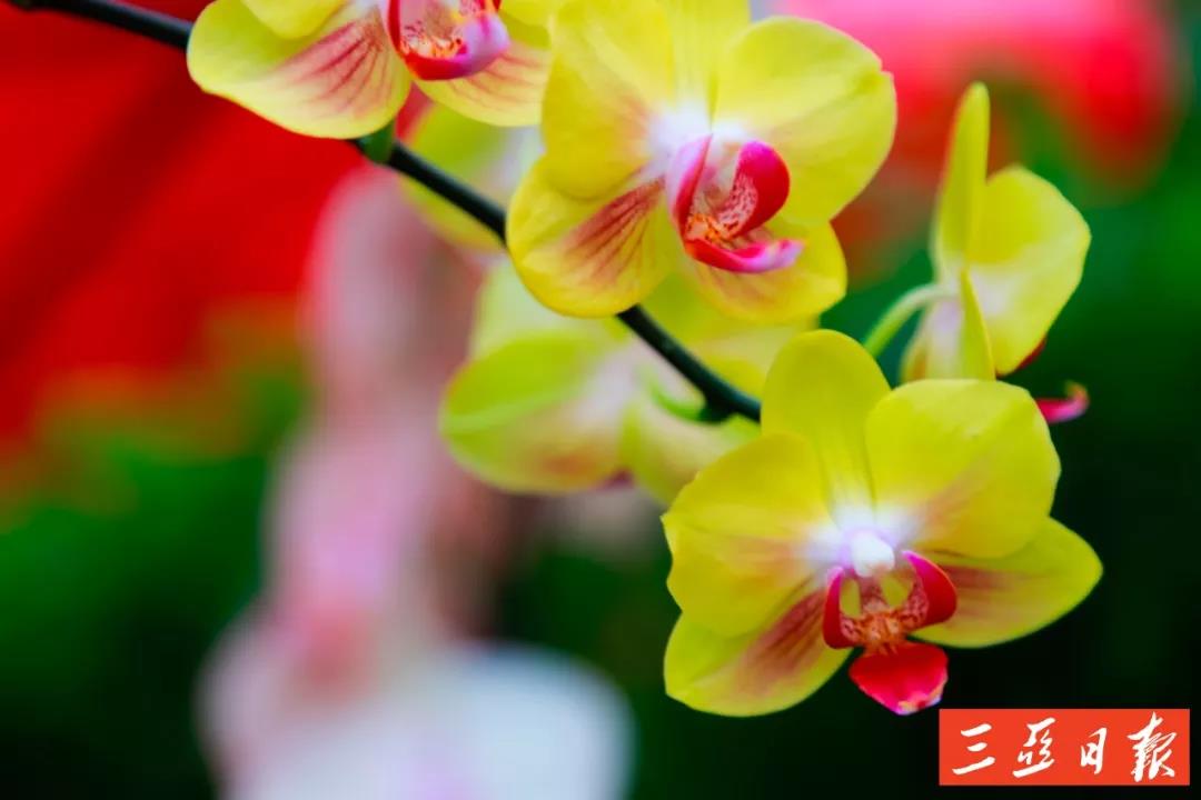 微信圖片_20191205171646 微信圖片_20191205171646