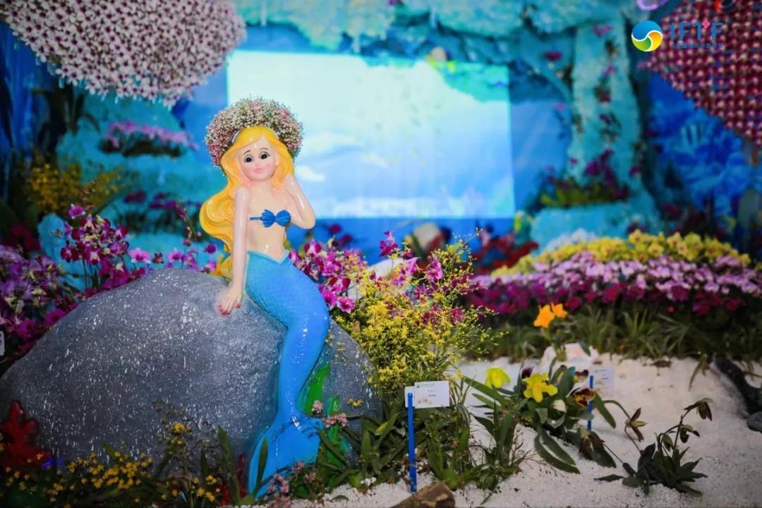 微信圖片_20191231150225 微信圖片_20191231150225