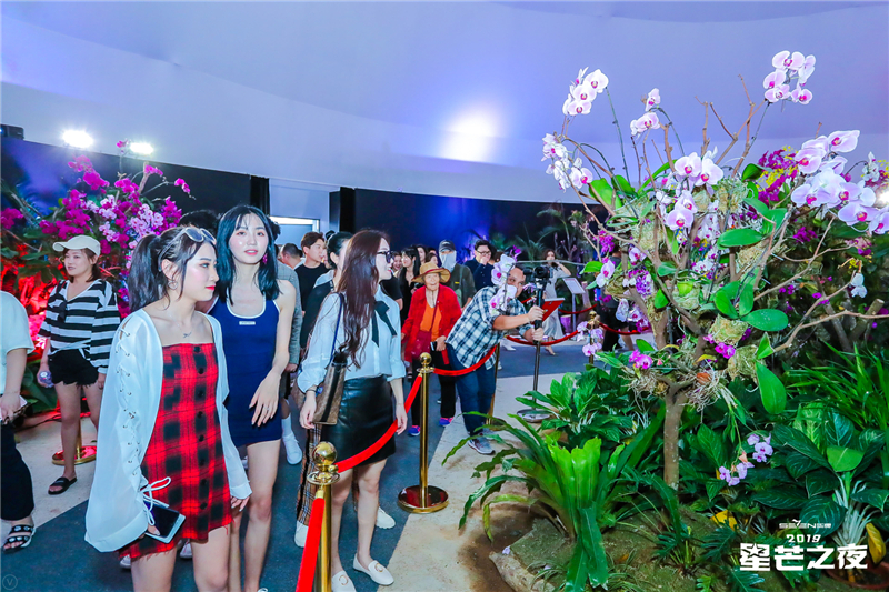 網(wǎng)紅暢游大小洞天打卡首屆三亞國際花卉旅游節(jié) (7) 網(wǎng)紅暢游大小洞天打卡首屆三亞國際花卉旅游節(jié) (7)