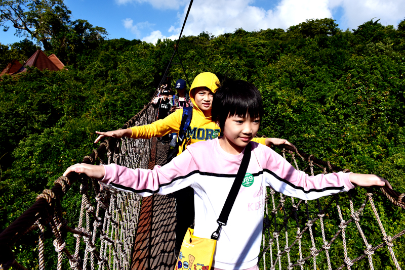 微信圖片_20200119173332 微信圖片_20200119173332