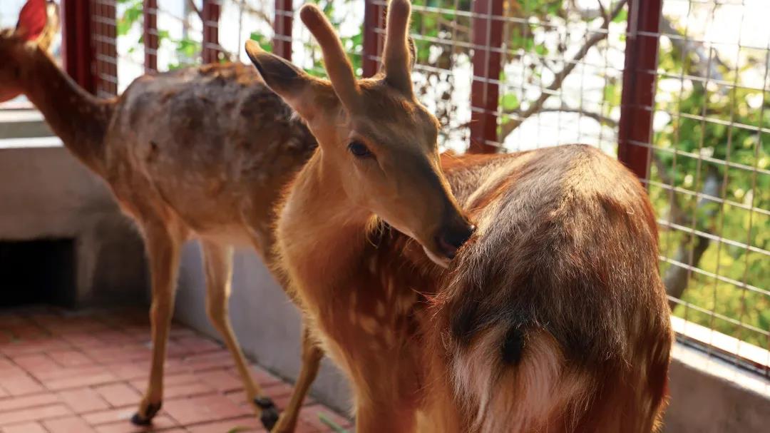 微信圖片_20200315115110 微信圖片_20200315115110