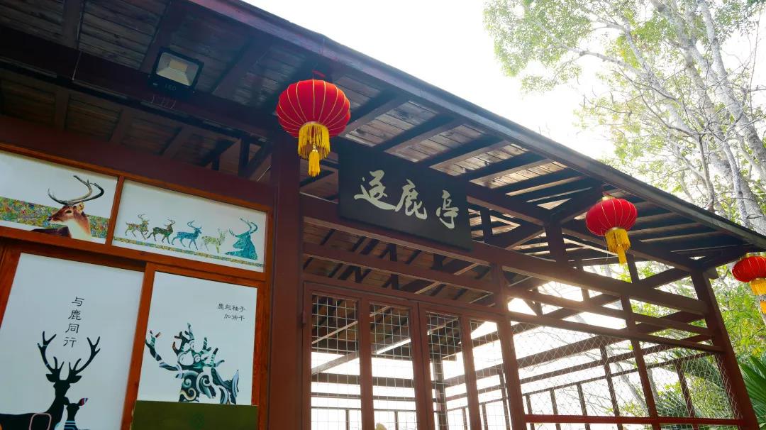 微信圖片_20200315115128 微信圖片_20200315115128