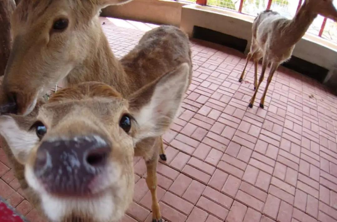 微信圖片_20200315115103 微信圖片_20200315115103