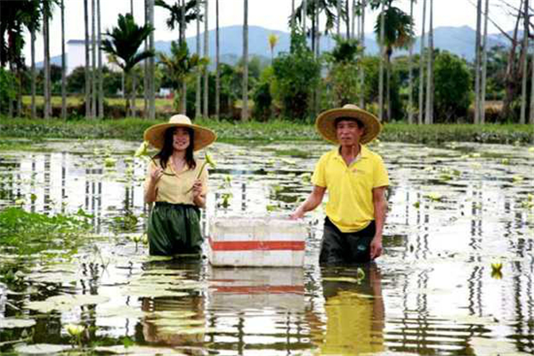 微信圖片_20200929170606 微信圖片_20200929170606