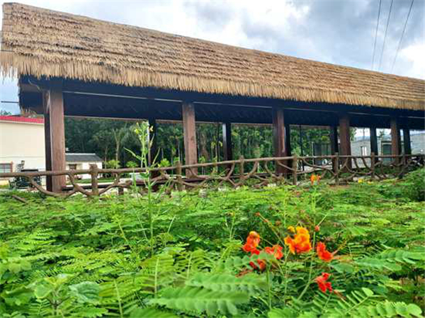 微信圖片_20200929170603 微信圖片_20200929170603