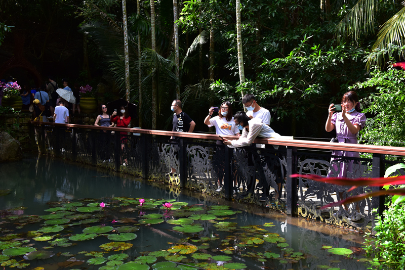 微信圖片_20201009103944 微信圖片_20201009103944