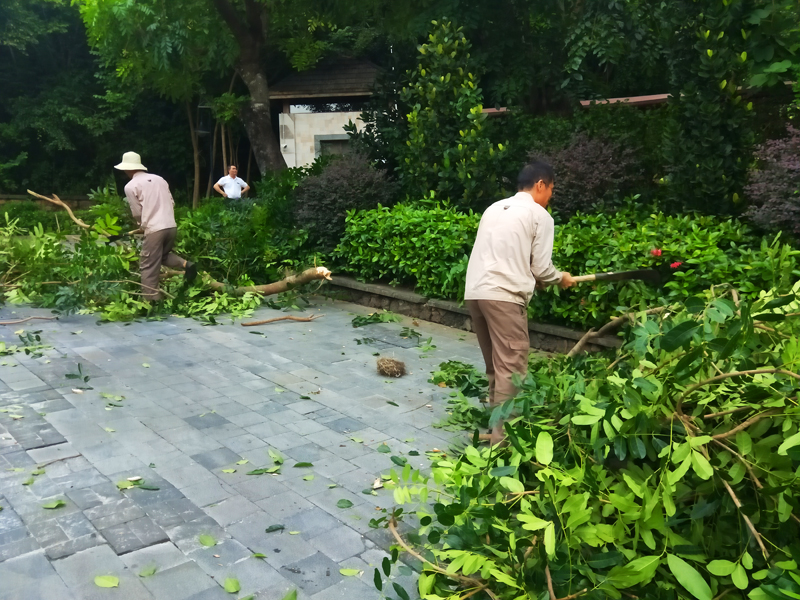 微信圖片_20201013162428 微信圖片_20201013162428