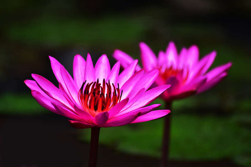 微信圖片_20201212100614 微信圖片_20201212100614