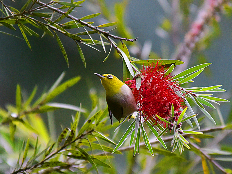 微信圖片_20220310173359 微信圖片_20220310173359