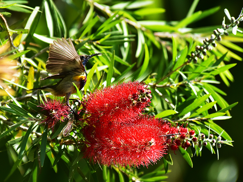 微信圖片_20220310173418 微信圖片_20220310173418