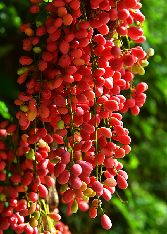 20230606153923_27611