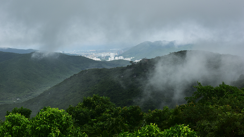 20231019170515_21442