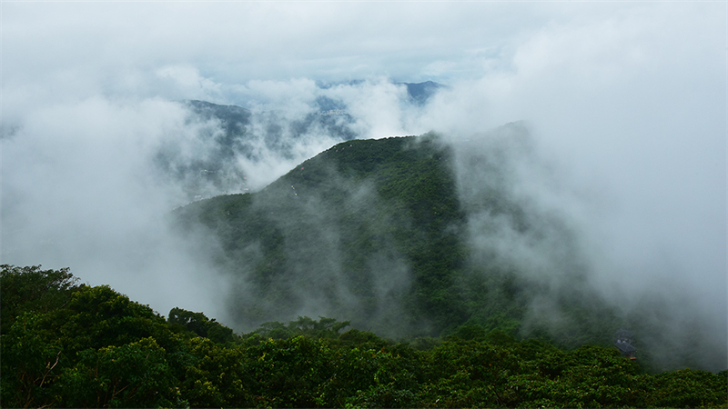 20231108222151_94528