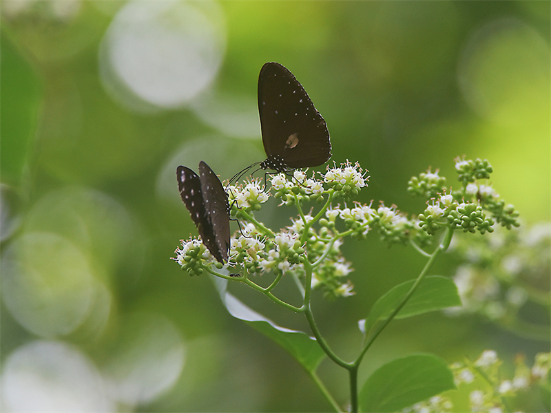 20231117100419_48077 20231117100419_48077