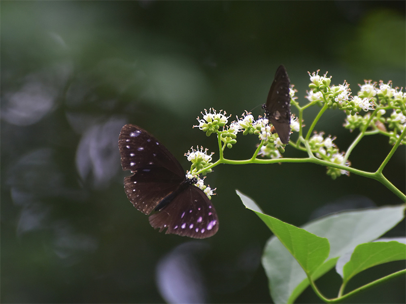 20231117100638_34799 20231117100638_34799